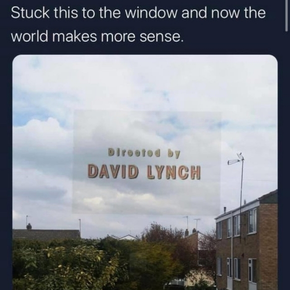 Meet your Posher, Kate - Picture 12 of 12